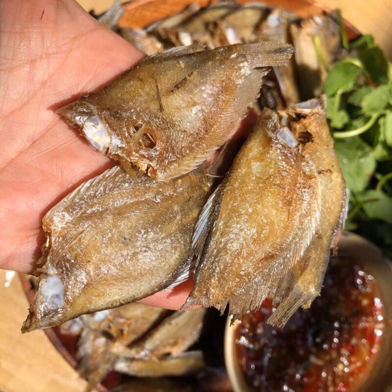KHÔ CÁ SẶC ĐỒNG , SẶC BƯỚM  ---Đại Ngư