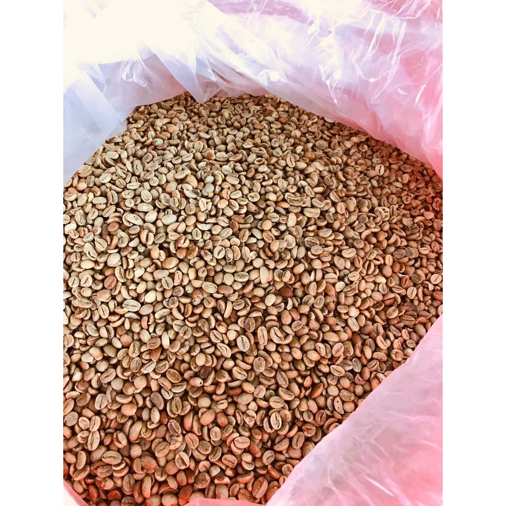 NHÂN CÀ PHÊ MOKA CHƯA RANG (500G)