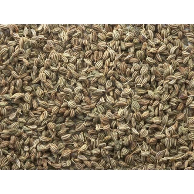 HOT SALE Hạt CAROM SEED- AJWAIN SEED