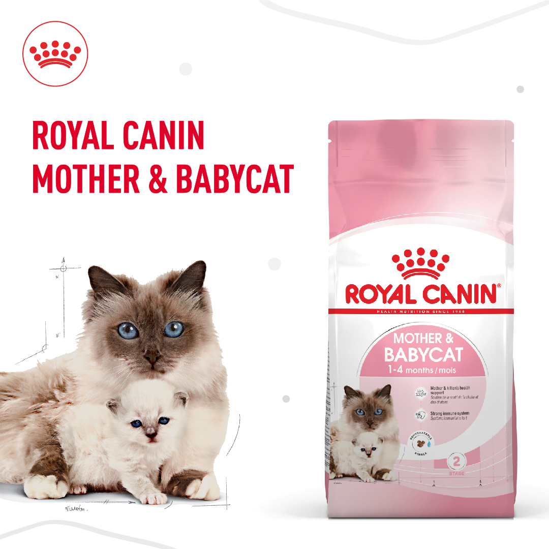 thức ăn hạt mèo Royal canin mother and baby cat 400gr và 2kg ( mèo mẹ và mèo con dưới 4 tháng tuổi)
