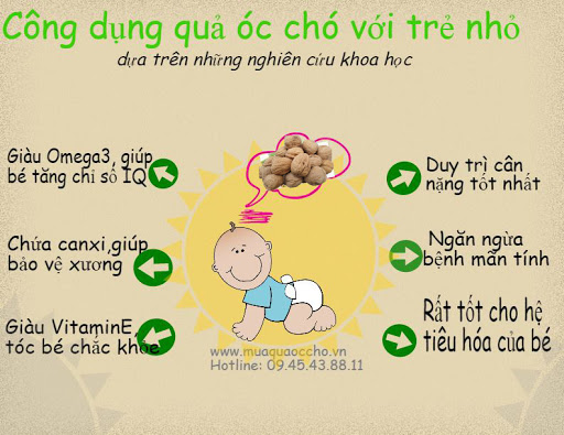 [HCM]Nhân hạt Óc chó Mourads Úc 1000g (TẶNG 500G Yến Mạch Hafer)
