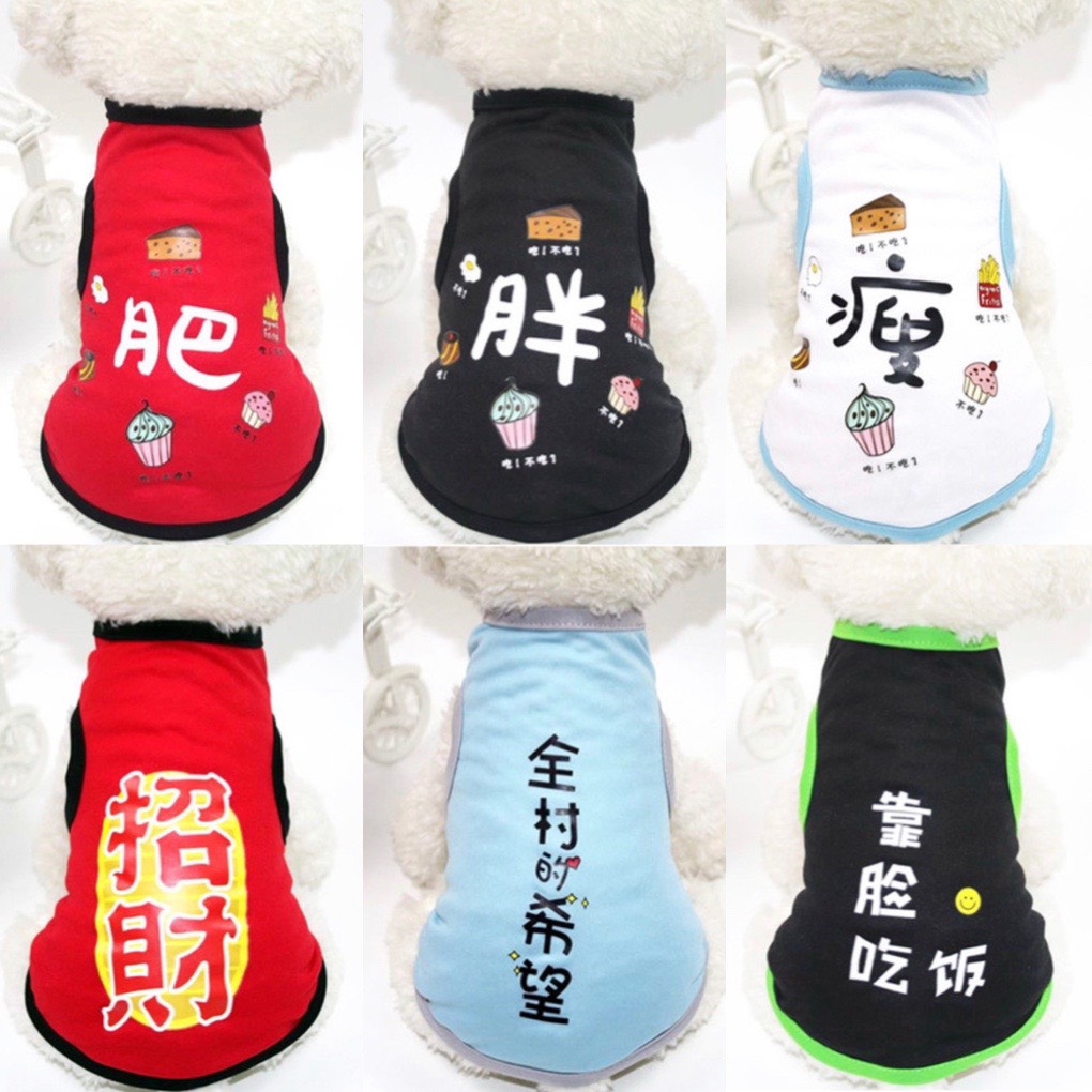 [HCM]Áo thun mùa hè NEW STYLE cho chó mèo