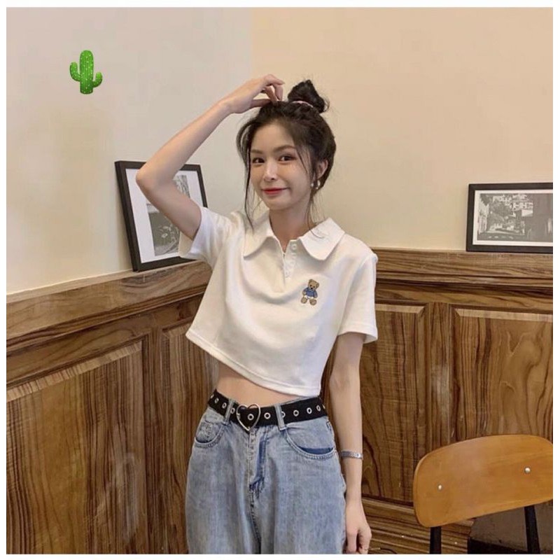 [HCM]Áo Thun Cổ Trụ Thiêu Gấu SIÊU HOT