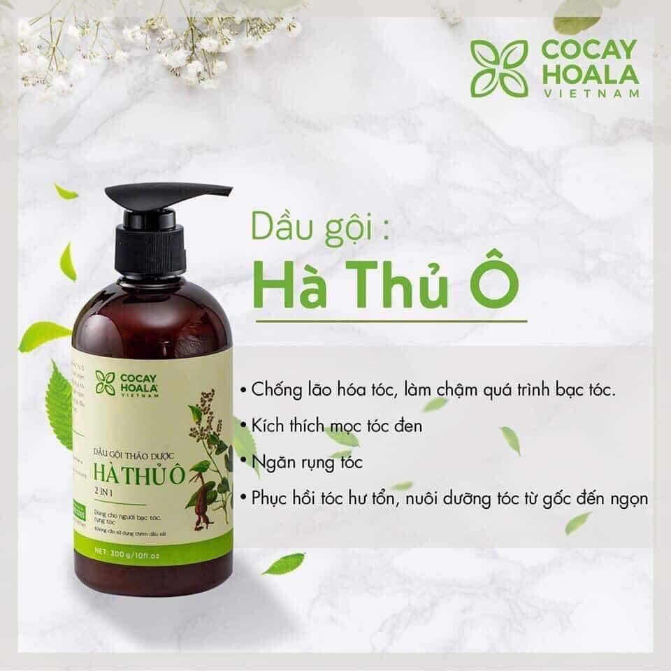 Combo dầu gội hà thủ ô và sữa tắm gừng nghệ