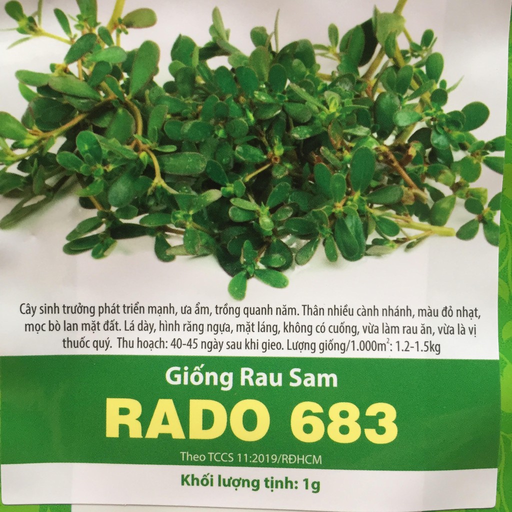 Hạt giống rau sam - giống rau sam - cây khỏe, khánh bệnh tốt, trồng quanh năm