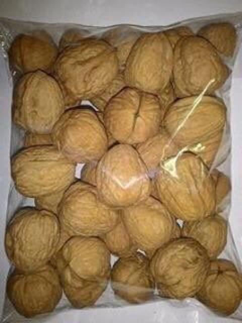 Combo 2 kg óc chó Sa pa quả to