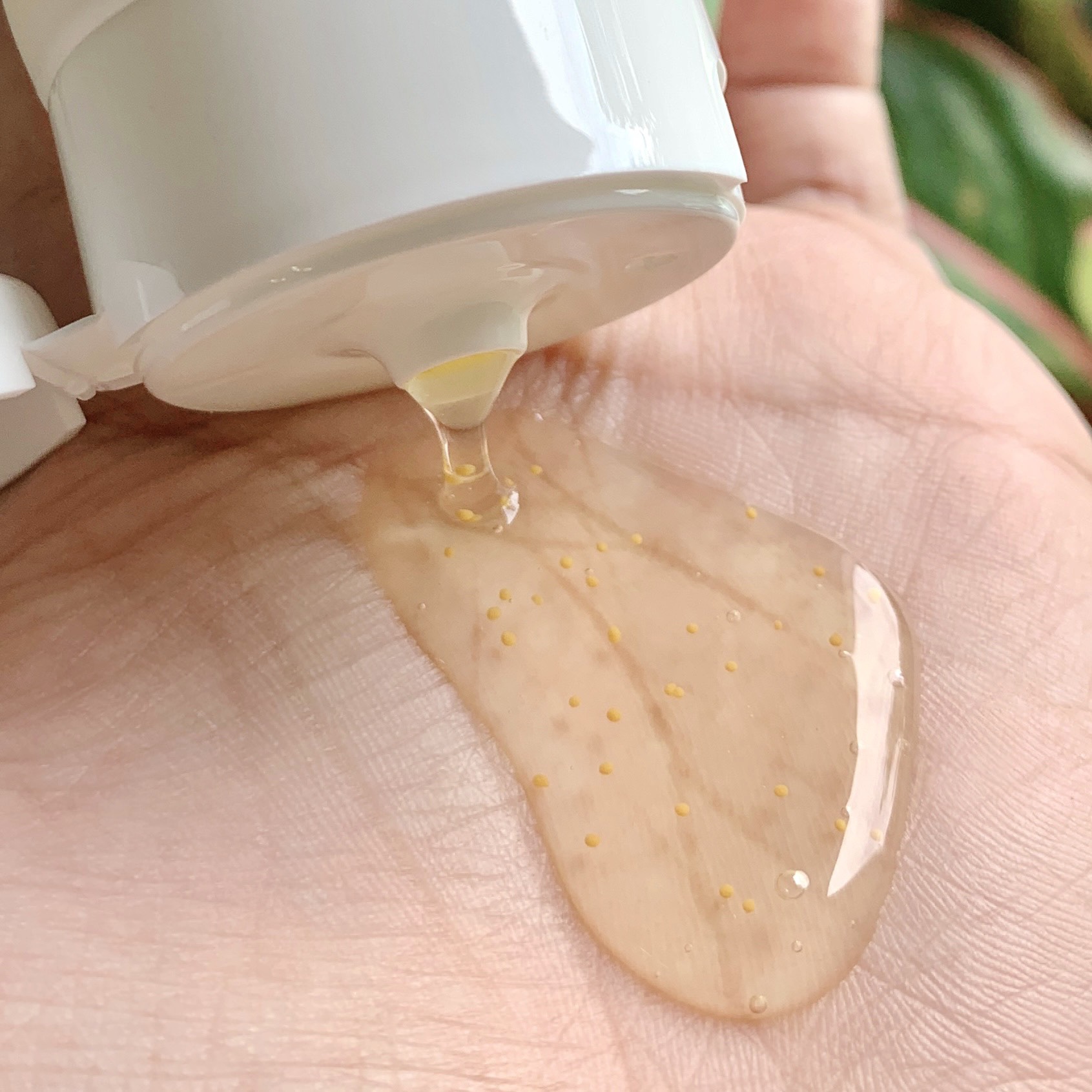 Sữa rửa mặt thảo dược Sắc Ngọc Khang 50g