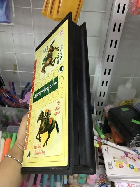 BỘ CỜ CÁ NGỰA NAM CHÂM
