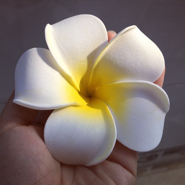 Cài Tóc Hoa Đại, Hoa Sứ Siêu Xinh