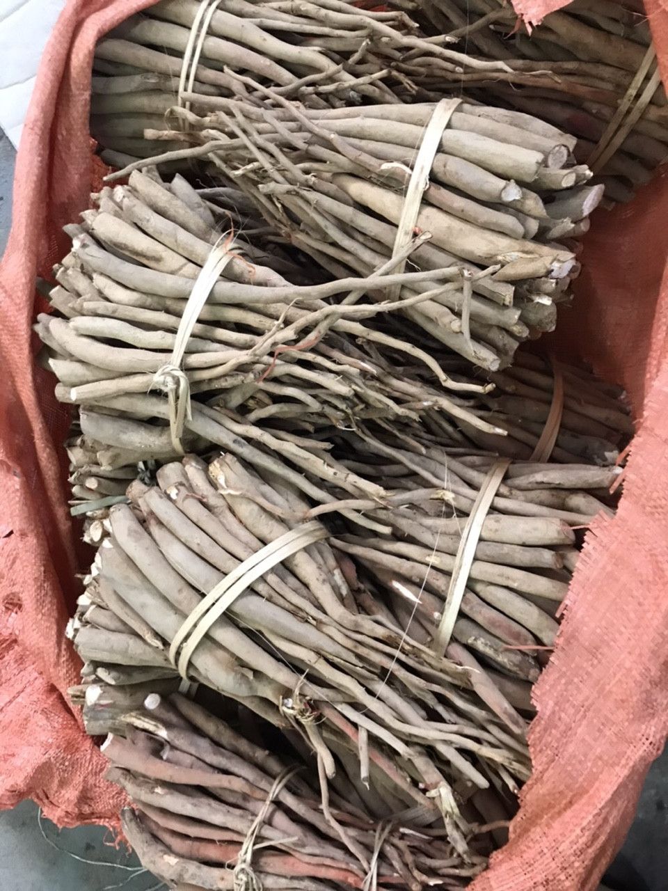 Sâm Cau Đỏ 1Kg
