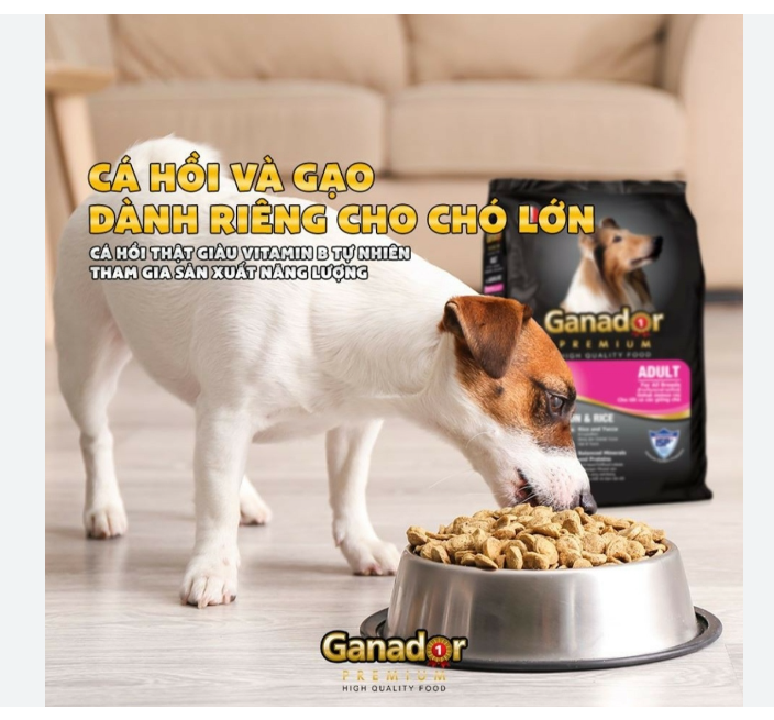 THỨC ĂN HẠT KHÔ CHO CÁC GIÔNG CHÓ LƠN GANADOR VI CÁ HỒI 400gr