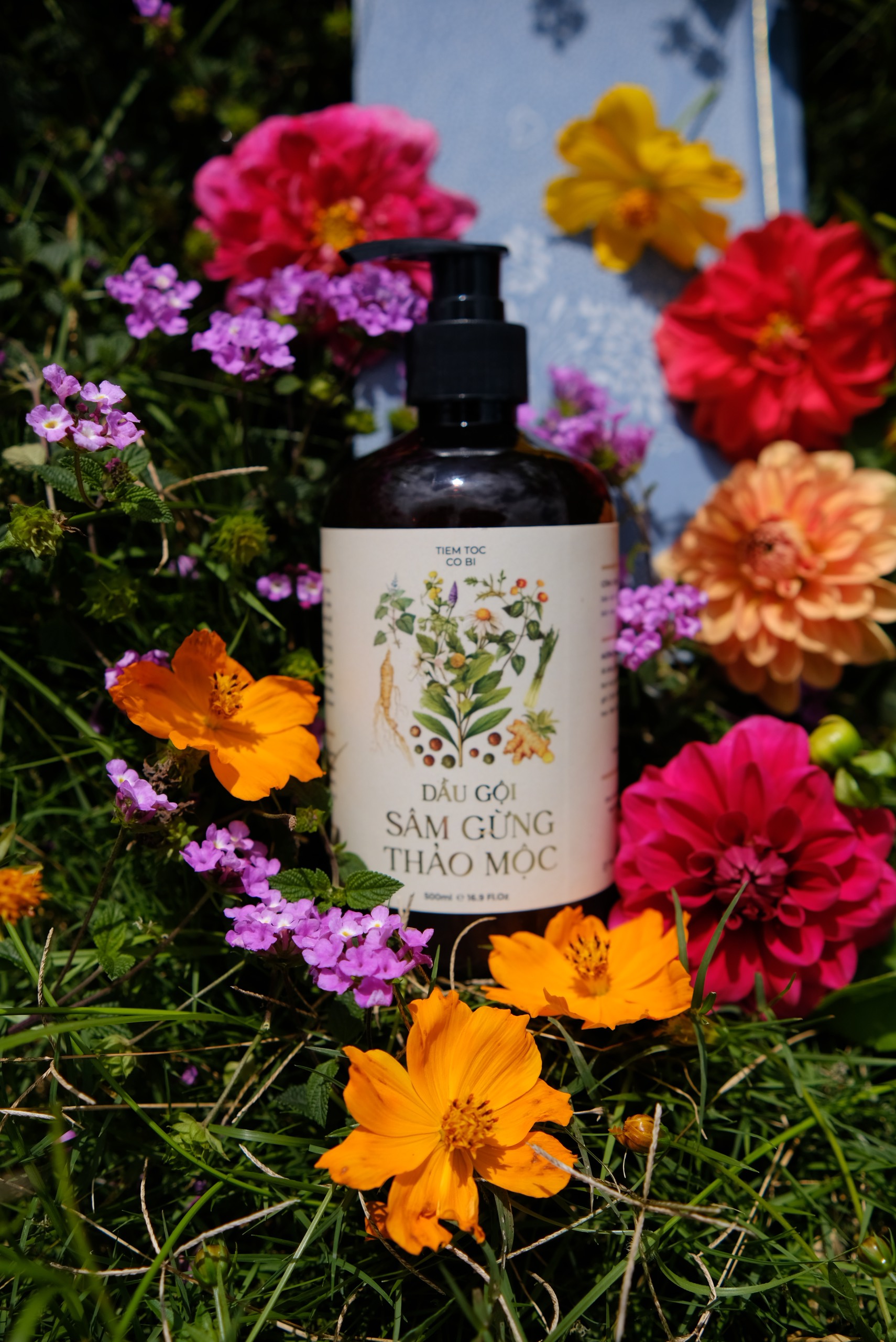 Co Bi's Natural Ginger Shampoo, Co Bi's Herbal Ginger Shampoo