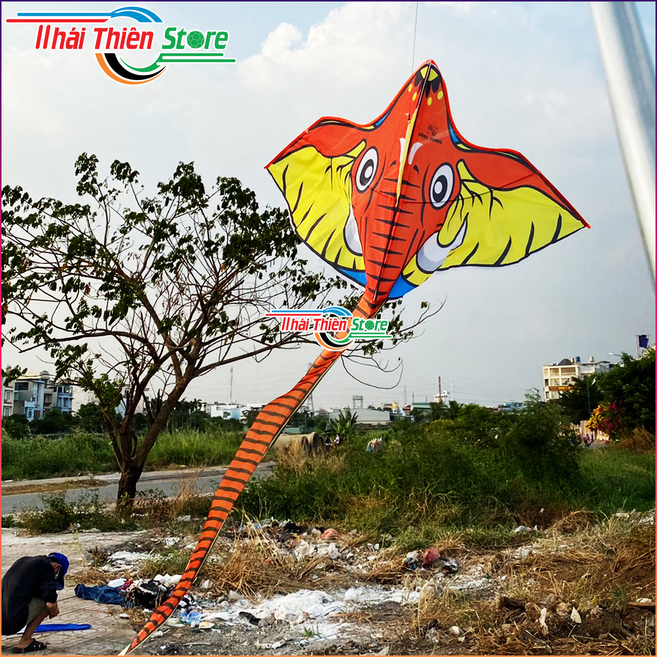 Diều Voi Đại Đăng Quang