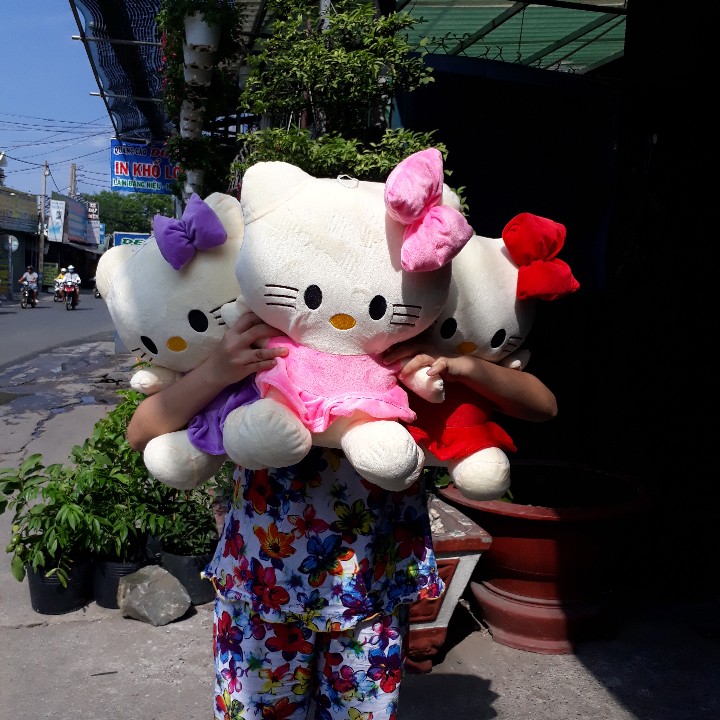 [HCM]MÈO KITTY NHỒI BÔNG 45CM
