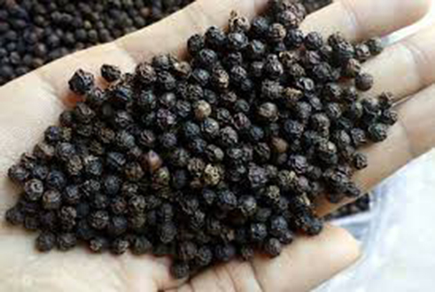 500gr hạt tiêu đen chín đỏ daklak nhà làm 100%