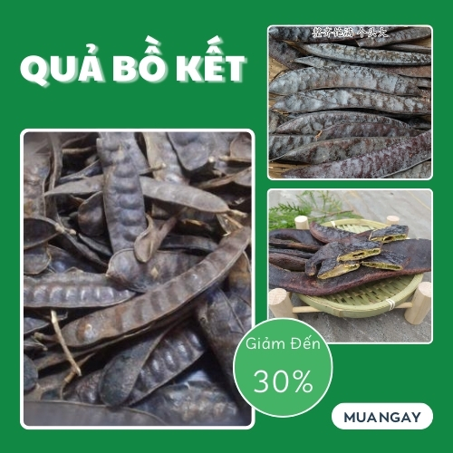 Bồ kết trái sấy khô túi 500gram - Thảo Dược Tấn Phát - Hàng công ty chất lượng cao