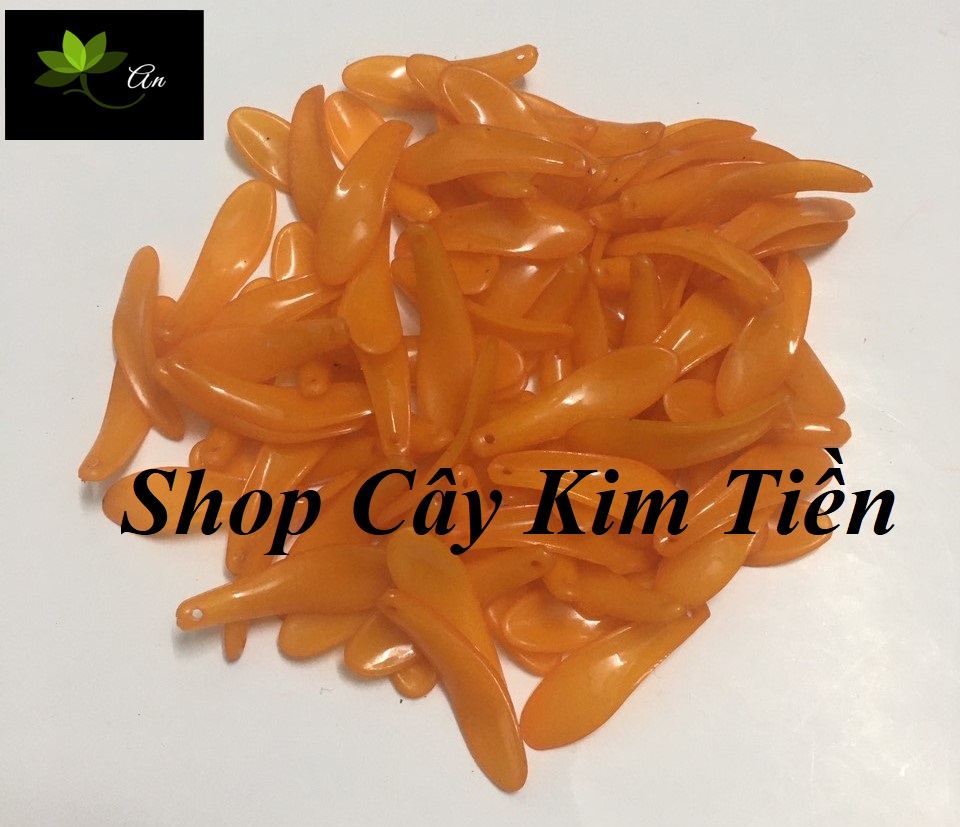 Cánh cúc pha lê đá ( 100gr)