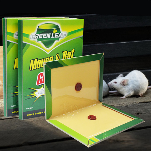 Combo 10 Miếng  Keo Dính Chuột