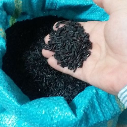 Nếp than - nếp cẩm túi 5kg