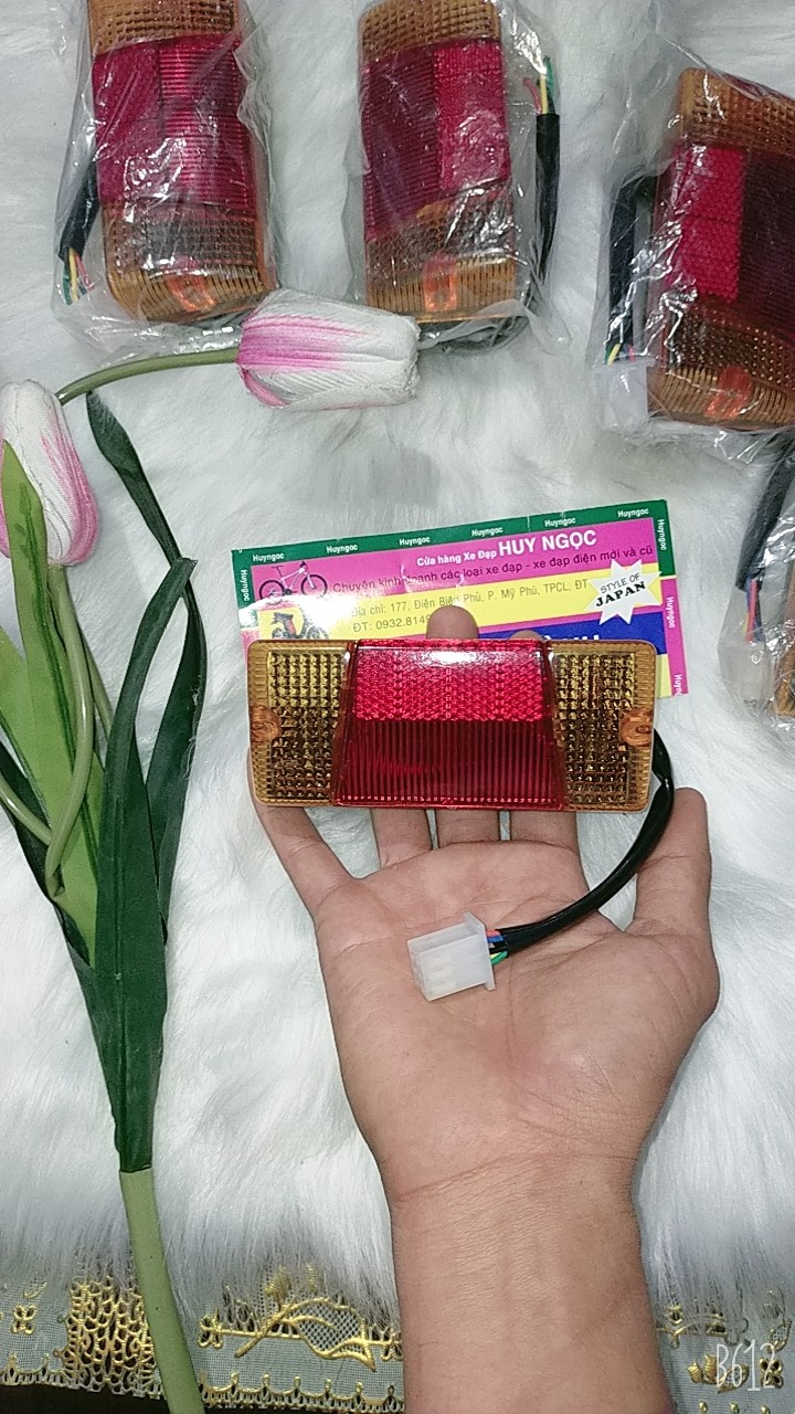 Đèn Hậu, Xi Nhan Sau Xe Đạp Điện