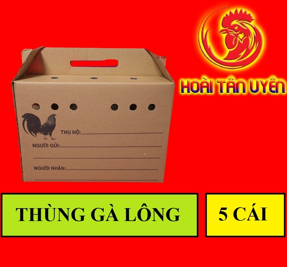 COMBO 5 THÙNG GIẤY ĐỰNG GÀ LÔNG