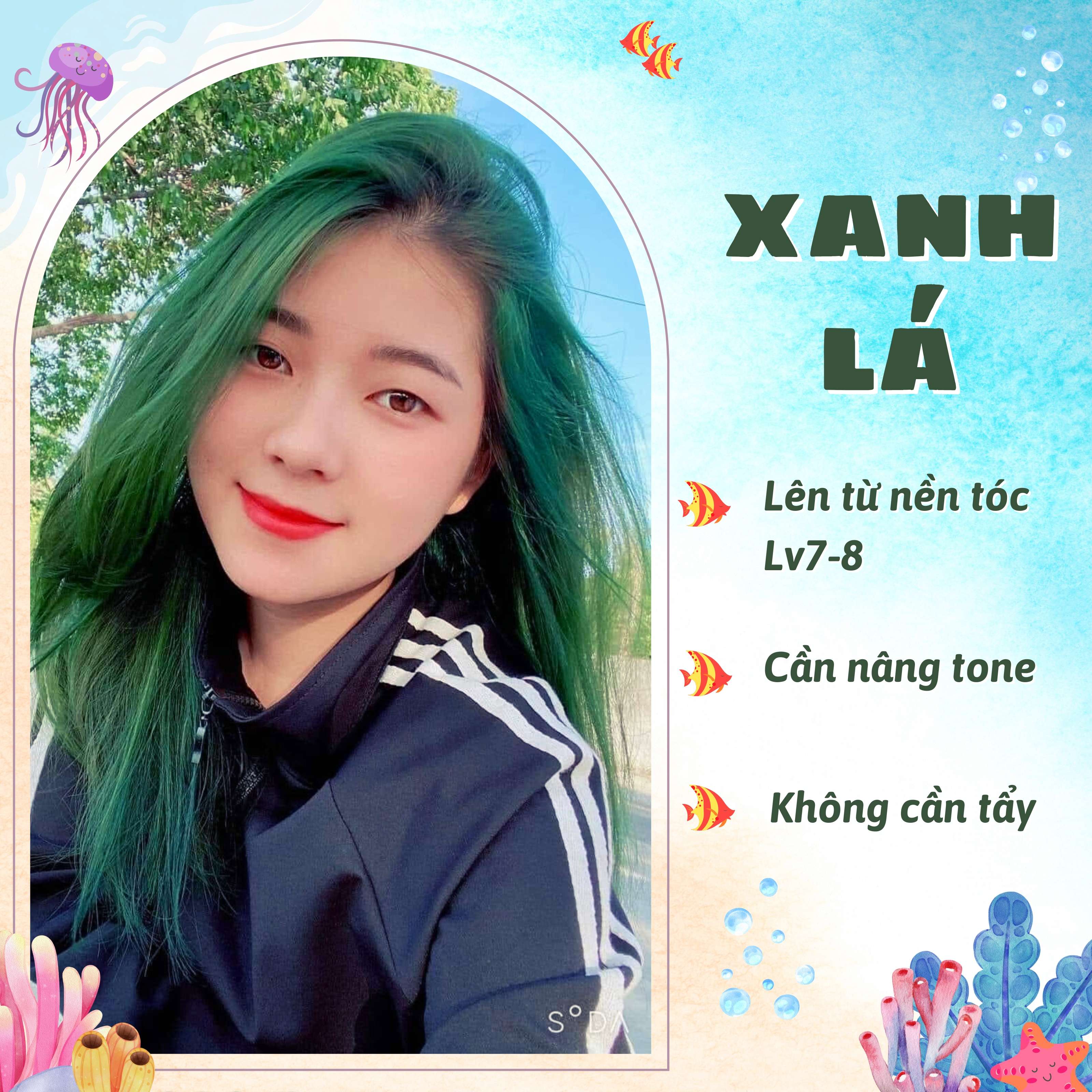 Thuốc Nhuộm Tóc Màu Xanh Lá - Risu Hair.
