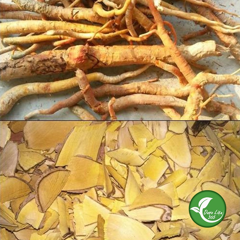 Cây Mật Gấu Bắc [1kg] Hàng loại 1
