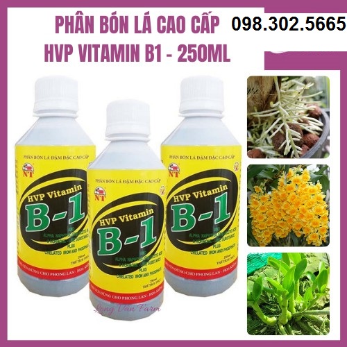 Phân bón đậm đặc HPV Vitamin B1 việt 250ml
