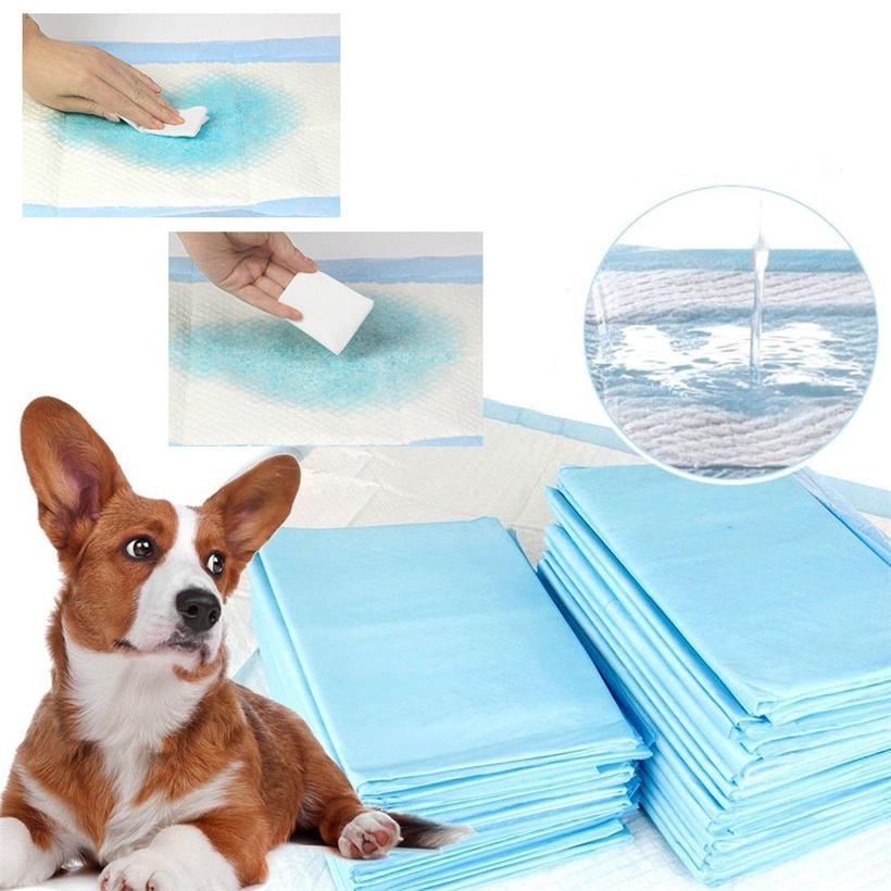 [HCM]10 Tấm Tã lót siêu thấm cho chó mèo