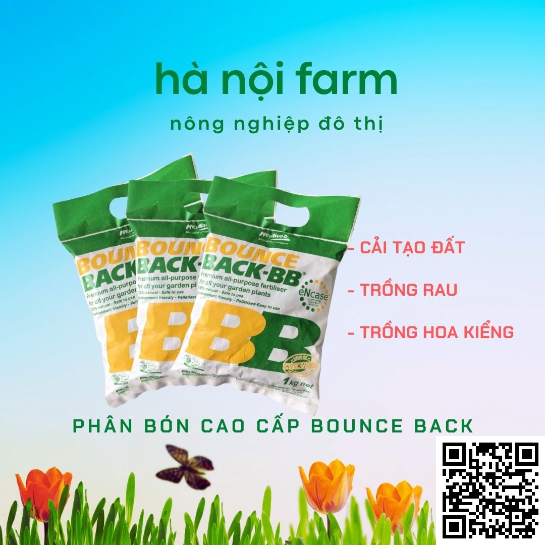 Phân hữu cơ BB, Phân gà úc ( Bounce back ) Australia. Gói 1kg