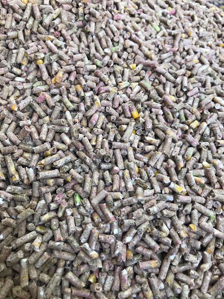 [HCM]Ngũ cốc xay ép cám viên dành cho gà đá (1kg)
