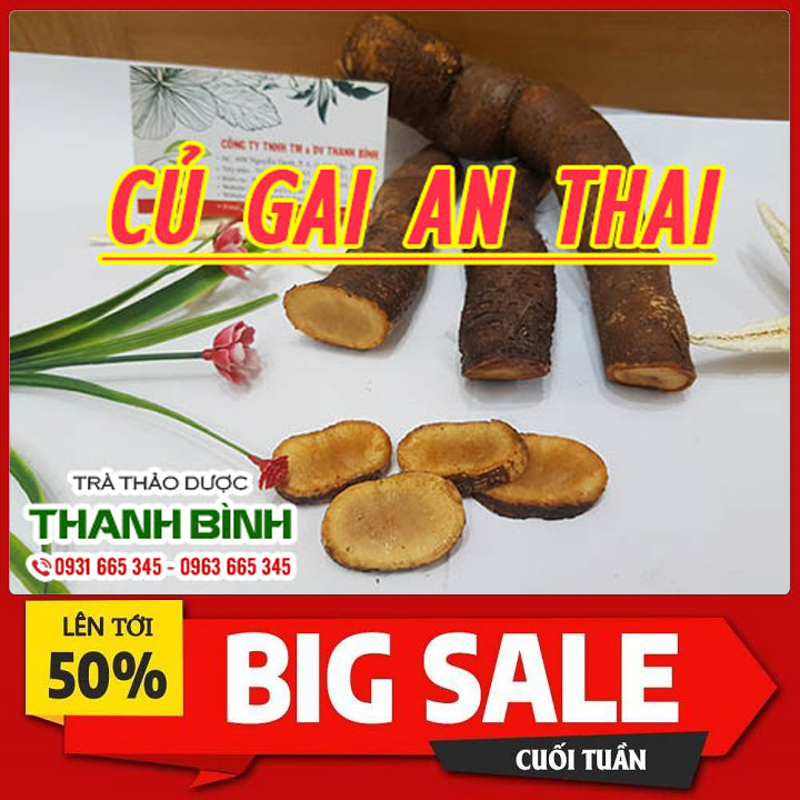 Củ gai an thai 500g loại cao cấp - đông y thanh bình