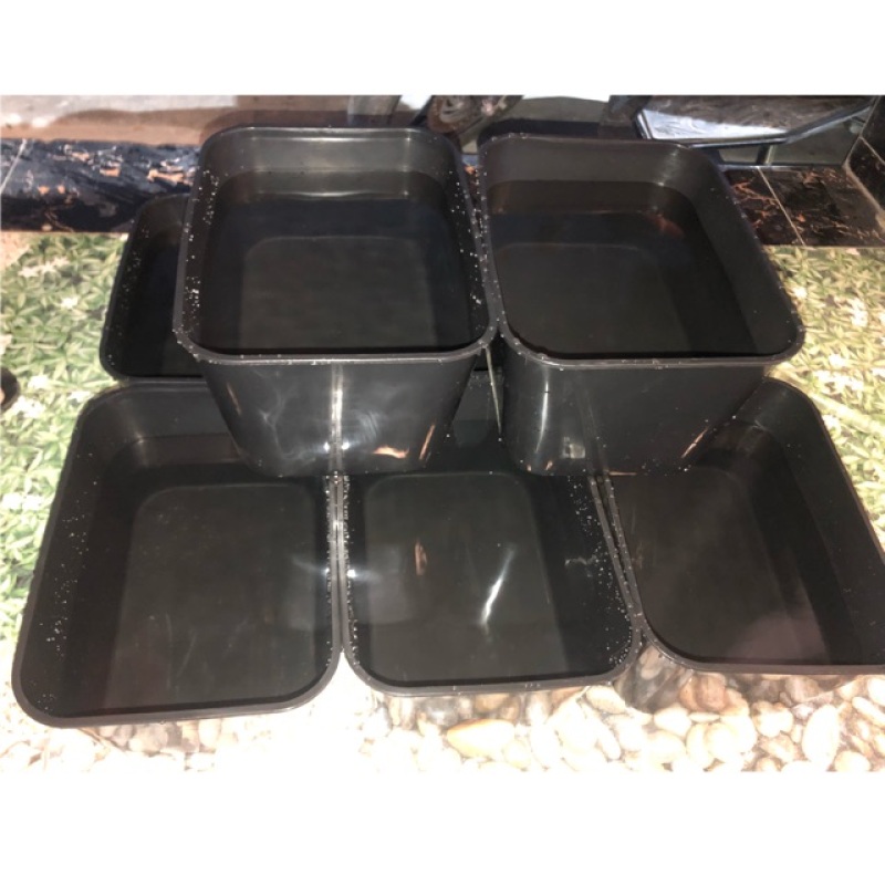 COMBO 5 THÙNG NHỰA NUÔI CÁ MÀU ĐEN 30x22x16cm 7 lít