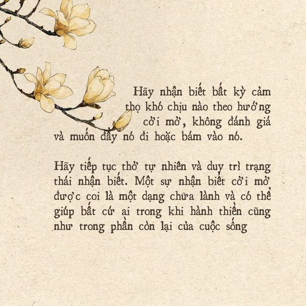 Sách - Thiền chữa lành thân và tâm
