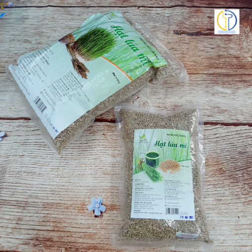 Hạt giống cỏ lúa mì (Wheatgrass) Viet Healthy nhập khẩu Australia (túi hút chân không 1kg-3kg)