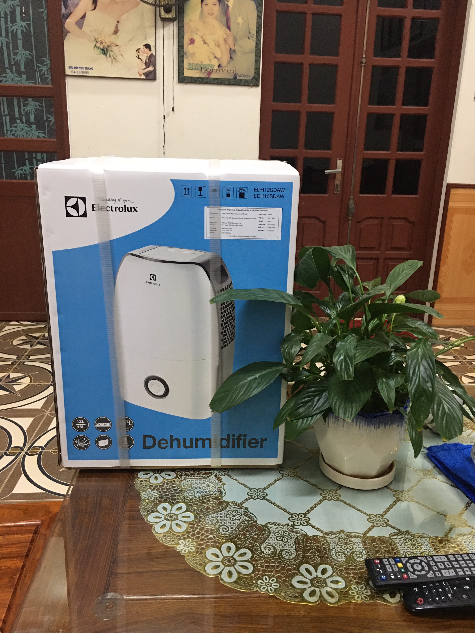 Hút ẩm điện tử Electrolux EDH16SDAW
