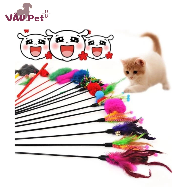 Cần câu mèo lông gà