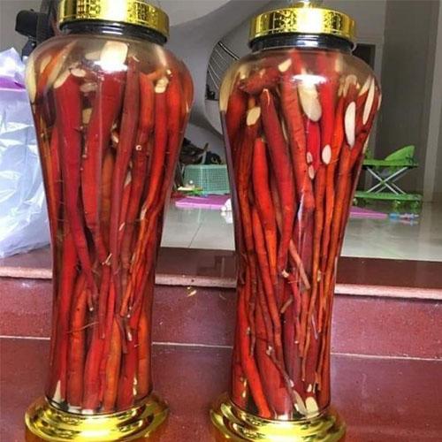 Sâm Cau Đỏ tươi 1kg
