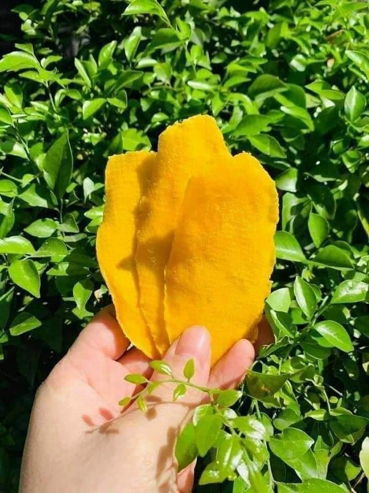 Xoài Sấy Dẻo Đặc Biệt (500gr)