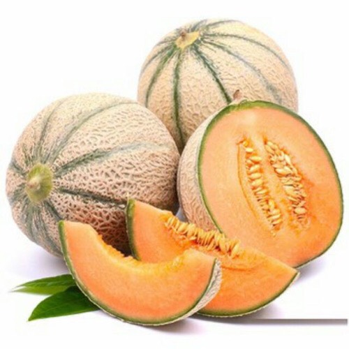 Hạt giống dưa lê sọc honey melon 330-1g