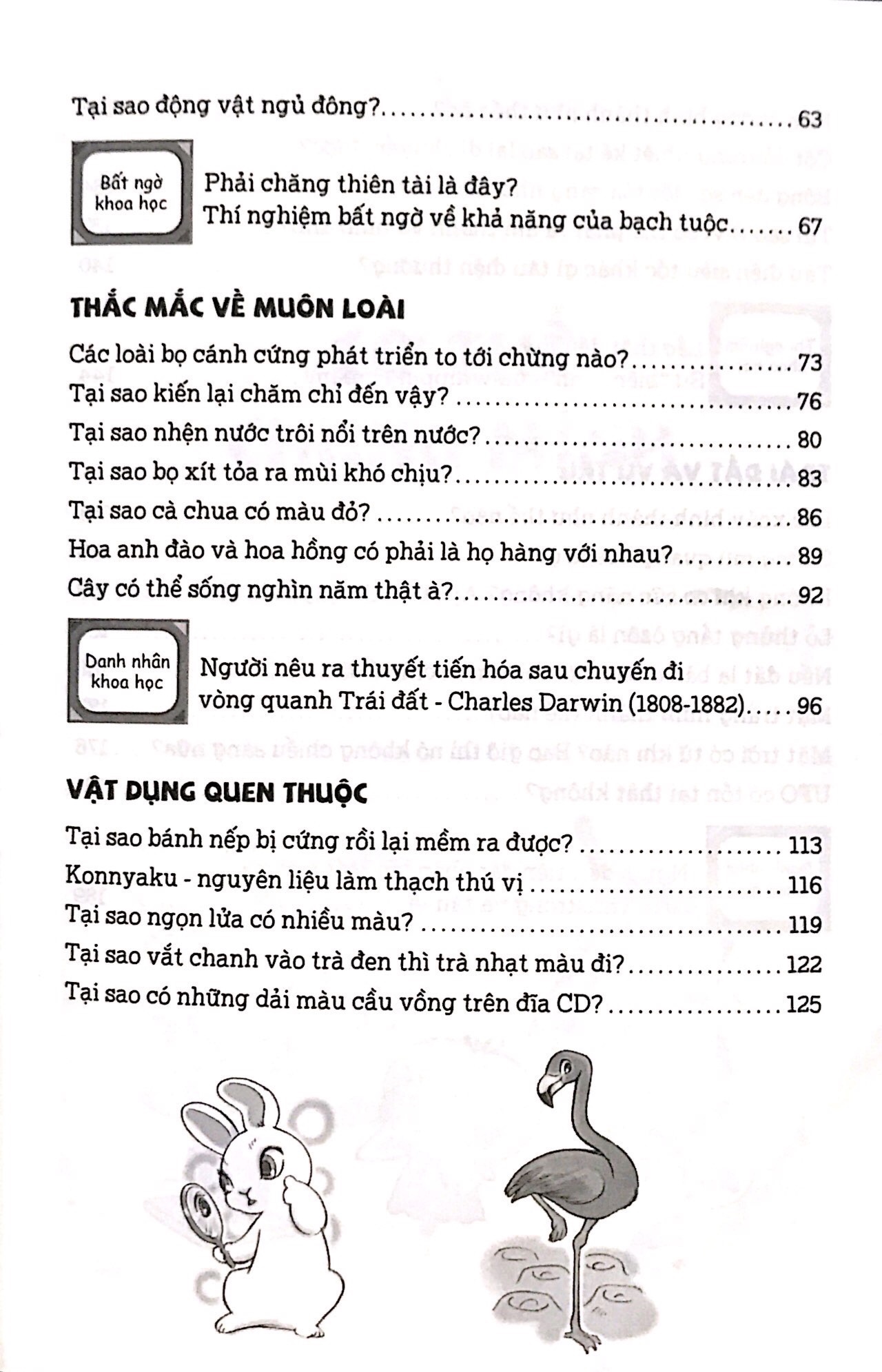 Fahasa - Thủ Thỉ Kiến Thức - Lớp 5