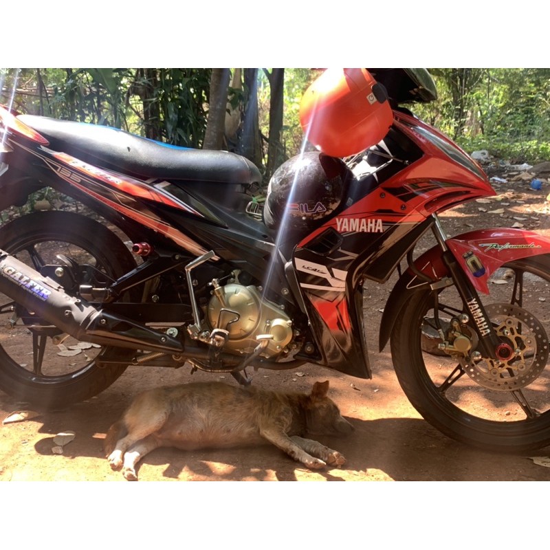 Tem exciter 2010 đỏ đen Yamaha cao cấp