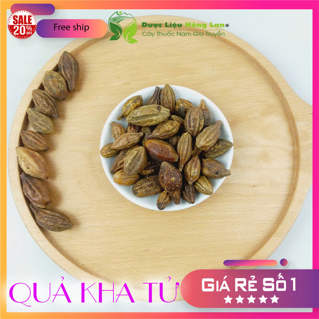 ✅[THƯỢNG HẠNG] 100g Quả Kha T.ử sấy khô loại 1