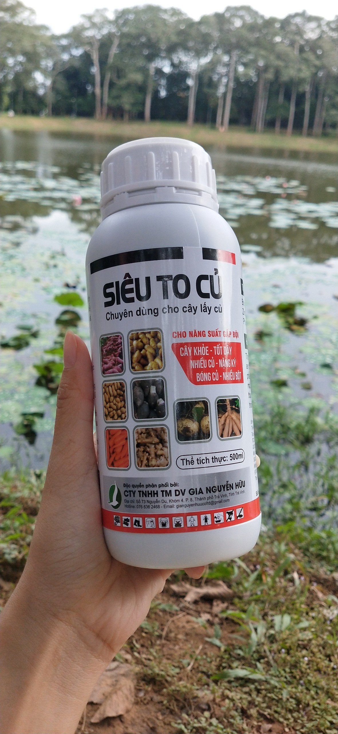 PHÂN BÓN SIÊU TO CỦ 500ML