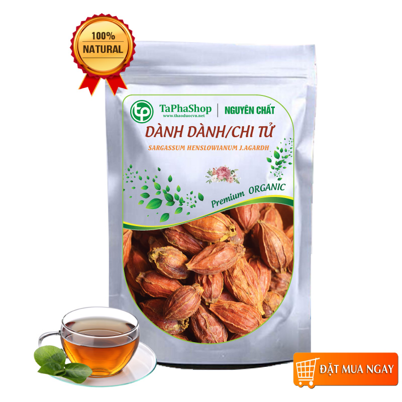 Quả chi tử/ dành dành sấy khô 500g cao cấp - Thảo Dược Tấn Phát