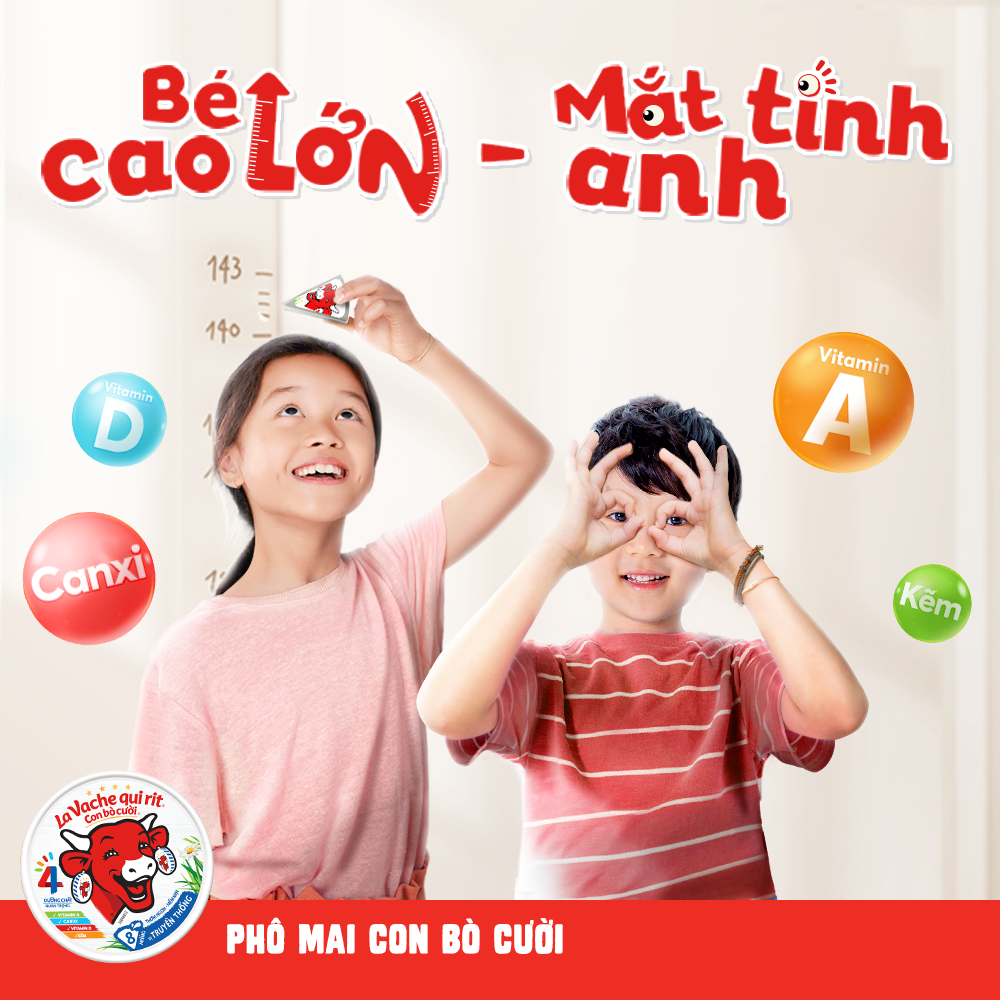 Combo 8 Phô mai con bò cười 8 miếng 112G