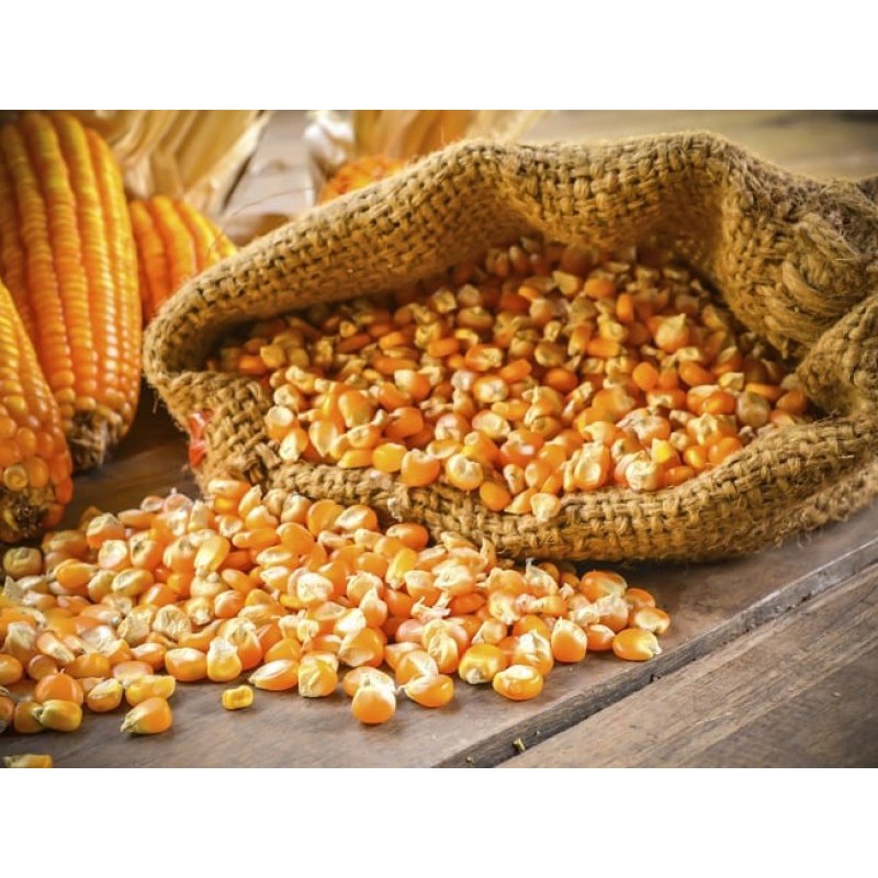 1kg Túi ngô mỹ để nổ bắp rang bơ dùng trong rạp xem phim