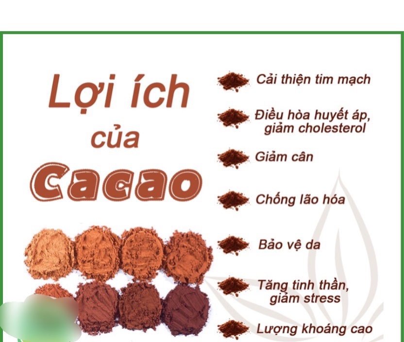 Bột ca cao nguyên chất 100% từ Đăk Lăk 500g