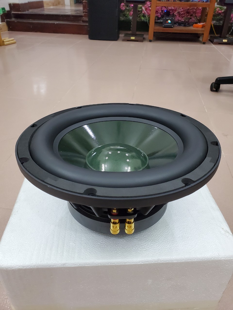 Củ Loa Pioneer Bass 25 Cao Cấp