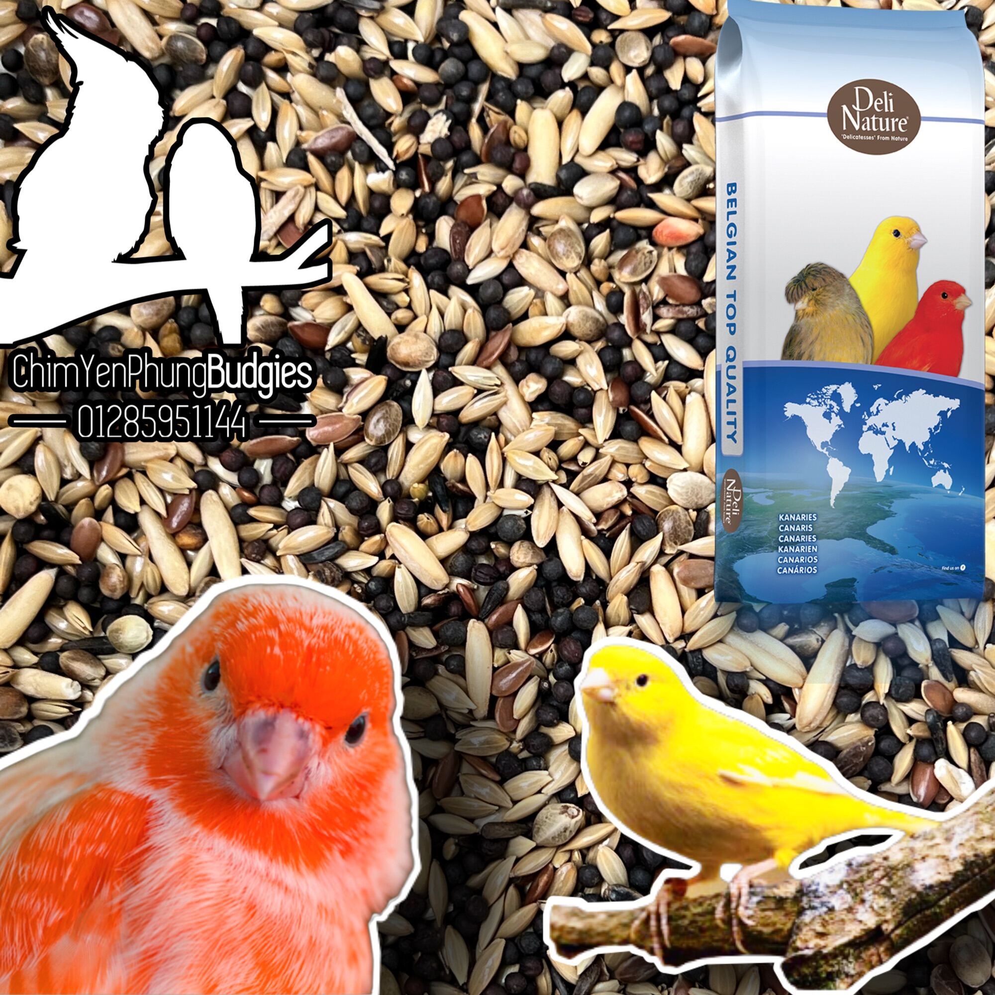 1kg hạt mix cho Yến Hót: Hoàng Yến, Bạch Yến, Thanh Yến - xuất xứ: Bỉ 🇧🇪🇧🇪🇧🇪